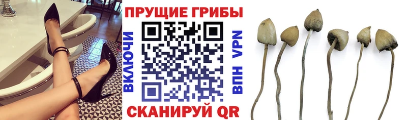 Галлюциногенные грибы прущие грибы  Афипский 